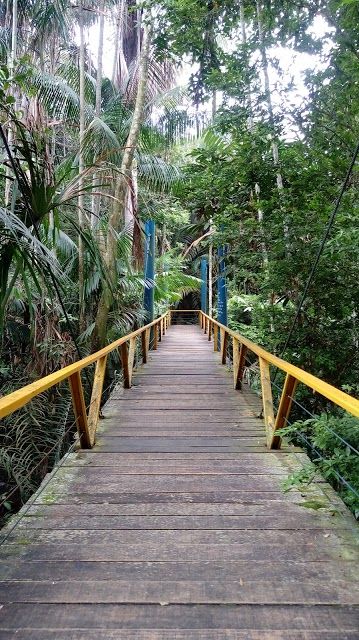 Mindu Municipal Park